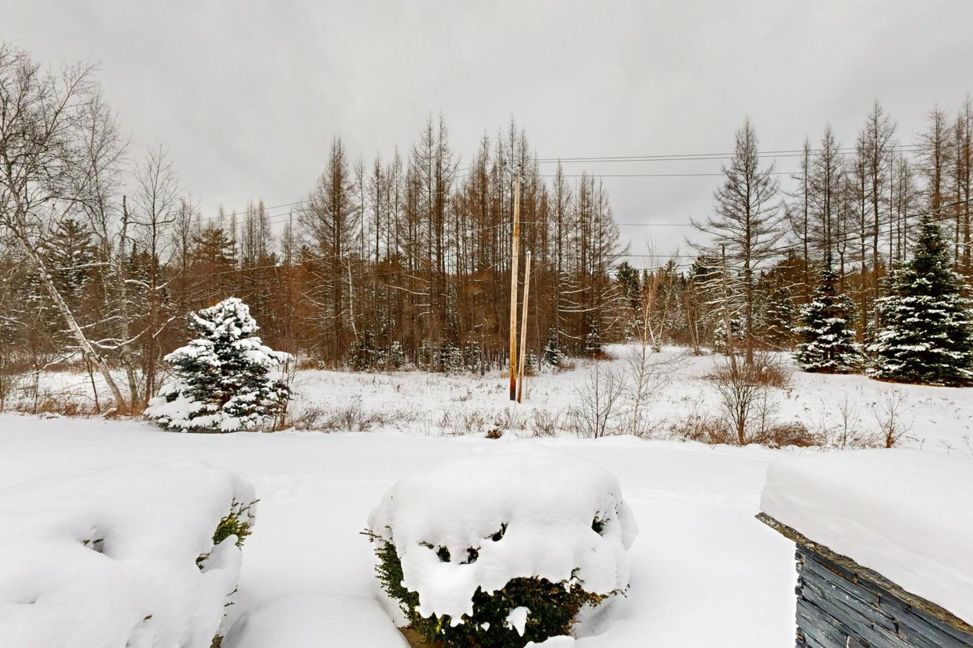 Twin View Log Home Carroll Zewnętrze zdjęcie
